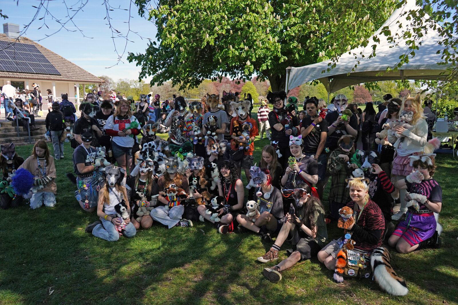 A diverse group of attendees gathered under a tree at Pups in the Park