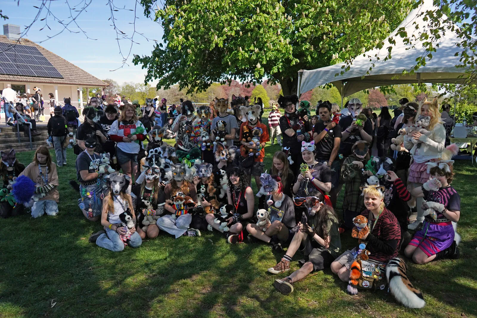 A diverse group of attendees gathered under a tree at Pups in the Park
