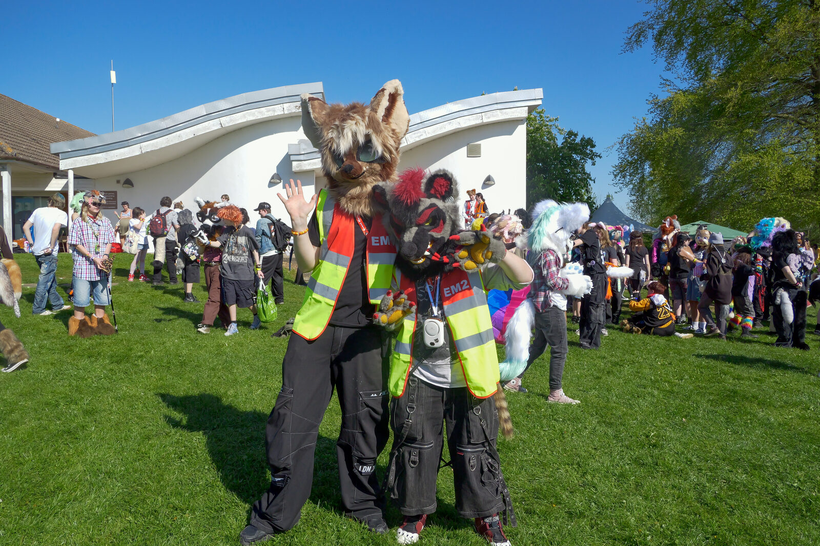 The events crew at a Pups in the Park gathering