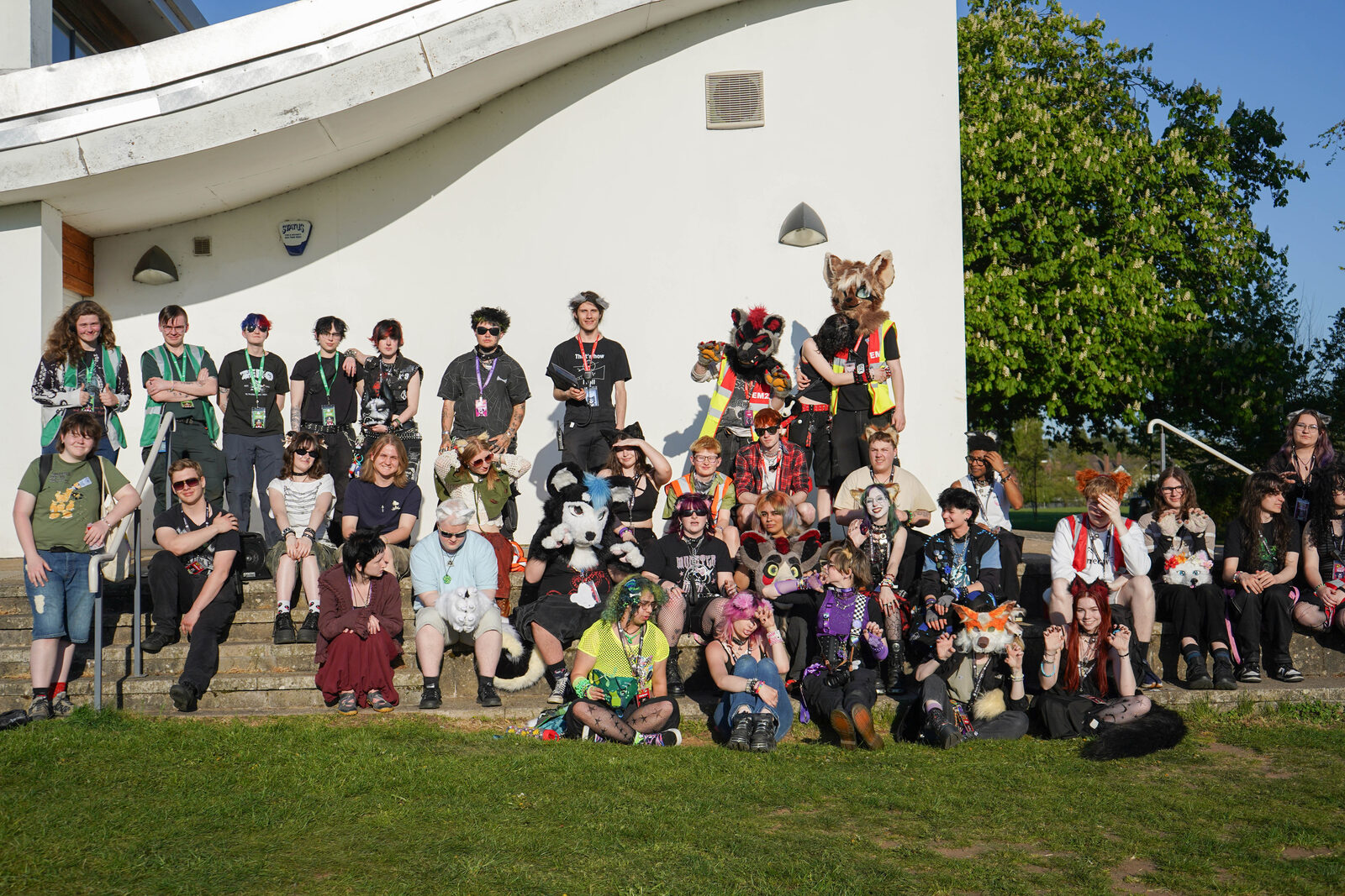 A large group of attendees gathered on the steps at Pups in the Park