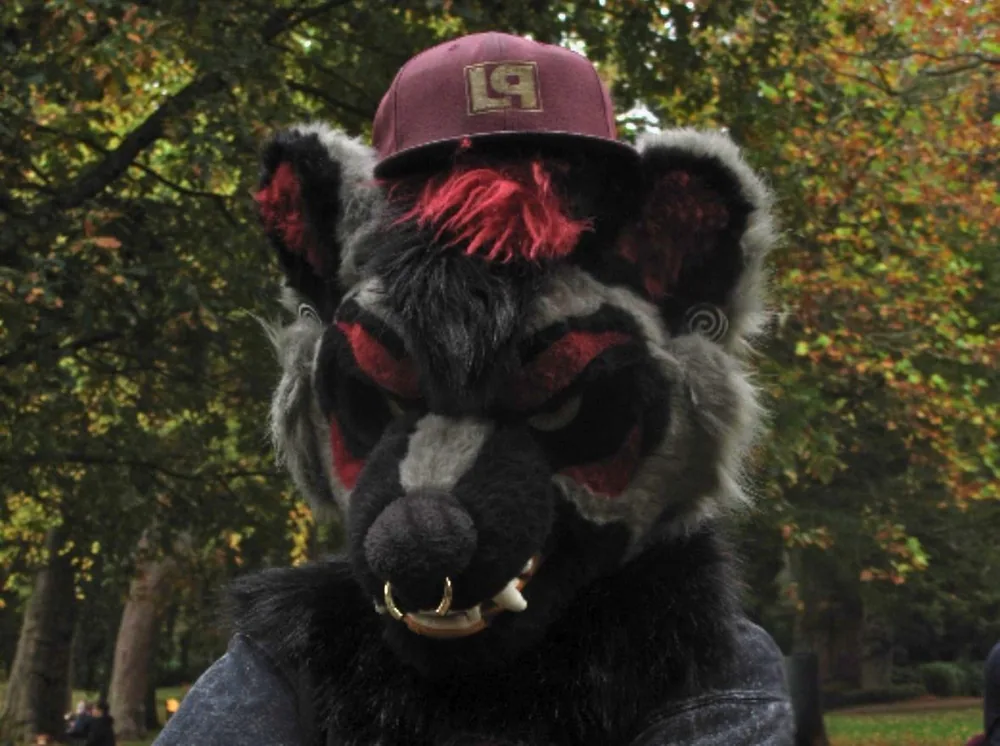 Wolf